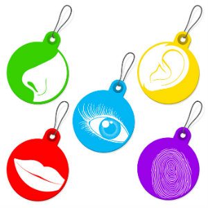 Sentir, entendre, voir, goûter, toucher naturopathie-sophrologie-créative
